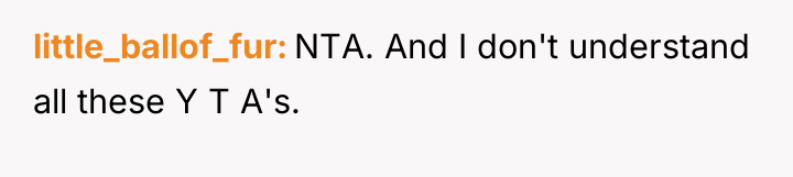 little_ballof_fur NTA. And I don't understand all these Y T...