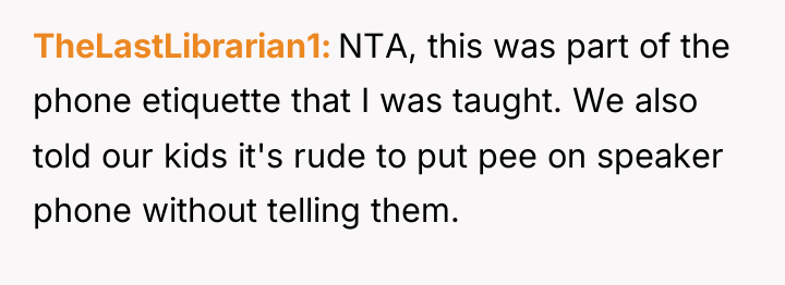 TheLastLibrarian1 NTA, this was part of the phone etiquette that...
