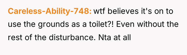 Careless-Ability-748 wtf believes it's on to use the grounds as...