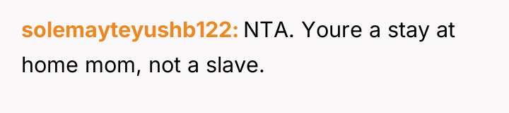solemayteyushb122 NTA. Youre a stay at home mom, not a...