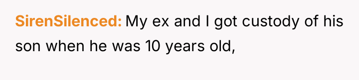 SirenSilenced My ex and I got custody of his son...