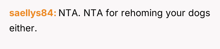 saellys84 NTA. NTA for rehoming your dogs either.