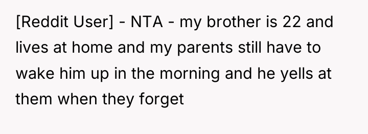 [Reddit User] - NTA - my brother is 22 and...
