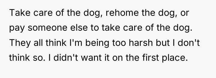 Take care of the dog, rehome the dog, or pay...