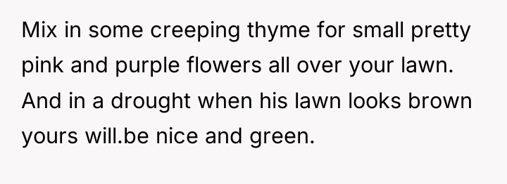 Mix in some creeping thyme for small pretty pink and...