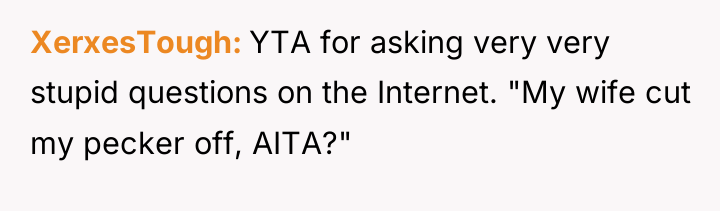 XerxesTough YTA for asking very very stupid questions on the...