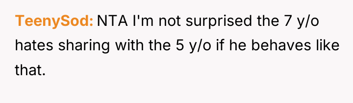 TeenySod NTA I'm not surprised the 7 y/o hates sharing...