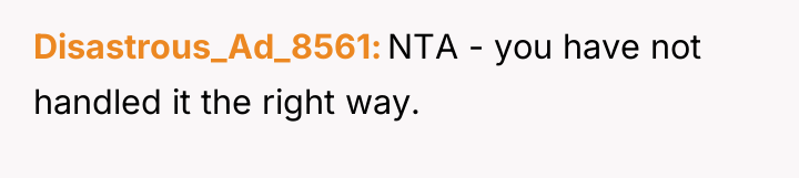 Disastrous_Ad_8561 NTA - you have not handled it the right...