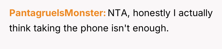 PantagruelsMonster NTA, honestly I actually think taking the phone isn't...