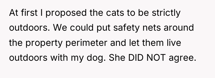 At first I proposed the cats to be strictly outdoors....