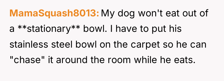 MamaSquash8013 My dog won't eat out of a **stationary** bowl....