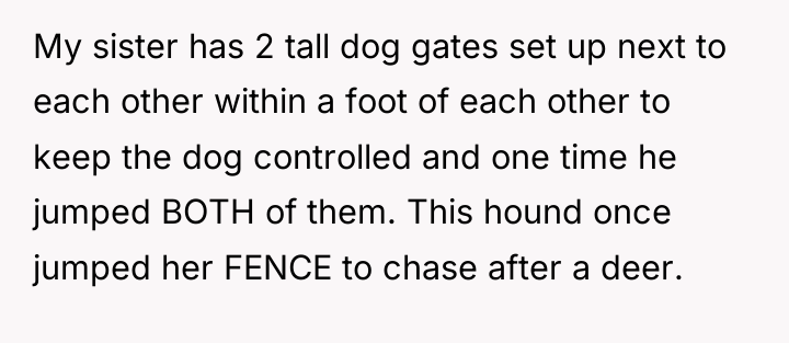 My sister has 2 tall dog gates set up next...
