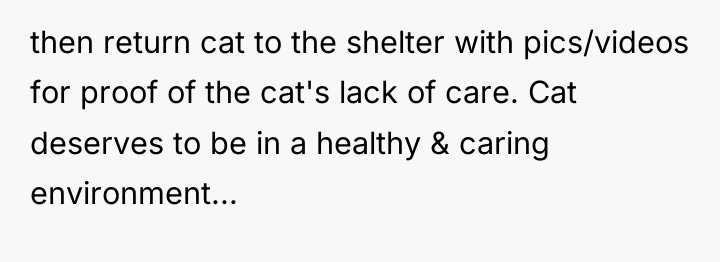 then return cat to the shelter with pics/videos for proof...