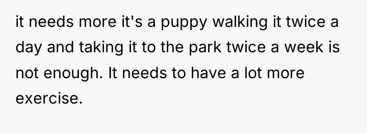 it needs more it's a puppy walking it twice a...