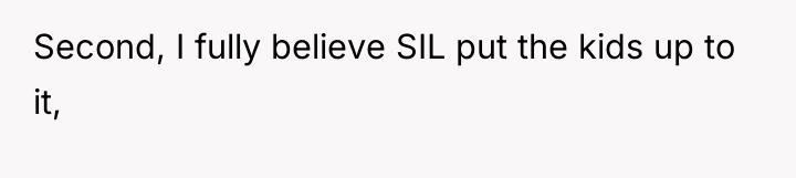Second, I fully believe SIL put the kids up to...