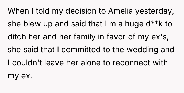 When I told my decision to Amelia yesterday, she blew...