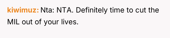 kiwimuz Nta: NTA. Definitely time to cut the MIL out...