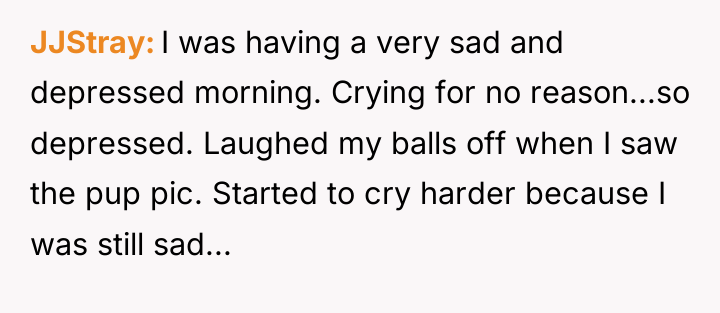 JJStray I was having a very sad and depressed morning....