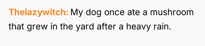 Thelazywitch My dog once ate a mushroom that grew in...