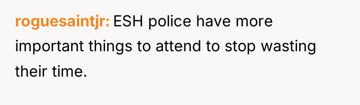 roguesaintjr ESH police have more important things to attend to...