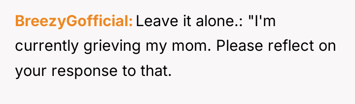 BreezyGofficial Leave it alone.: "I'm currently grieving my mom. Please...