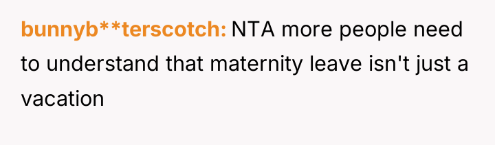 bunnyb**terscotch NTA more people need to understand that maternity leave...