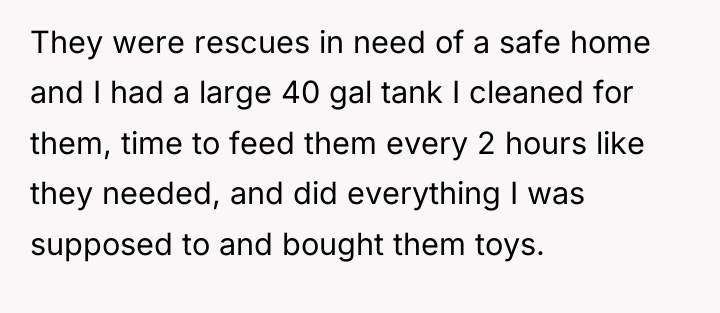 They were rescues in need of a safe home and...