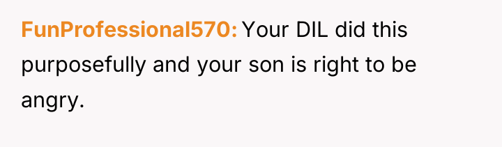 FunProfessional570 Your DIL did this purposefully and your son is...