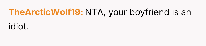 TheArcticWolf19 NTA, your boyfriend is an idiot.