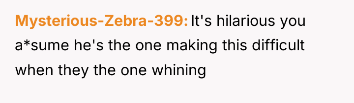 Mysterious-Zebra-399 It's hilarious you a*sume he's the one making this...