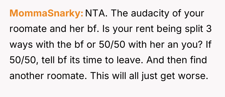 MommaSnarky NTA. The audacity of your roomate and her bf....