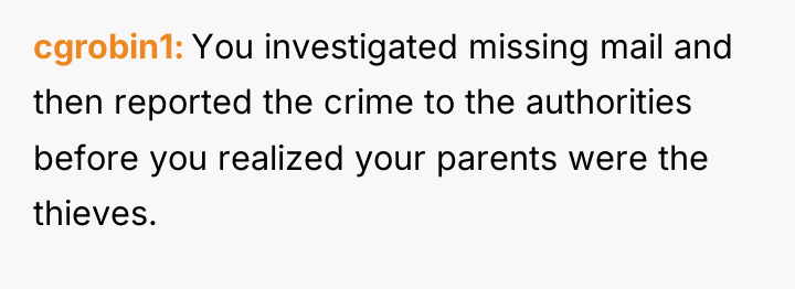 cgrobin1 You investigated missing mail and then reported the crime...