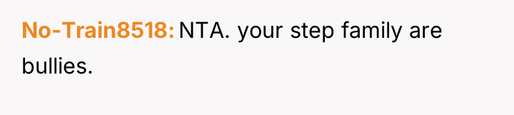 No-Train8518 NTA. your step family are bullies.