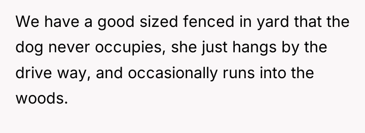 We have a good sized fenced in yard that the...