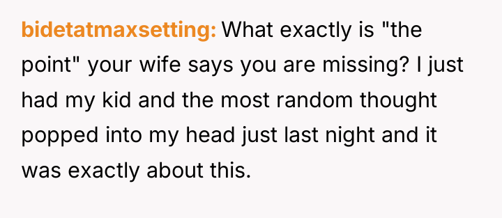 bidetatmaxsetting What exactly is "the point" your wife says you...