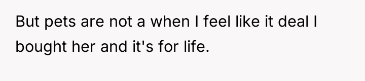 But pets are not a when I feel like it...