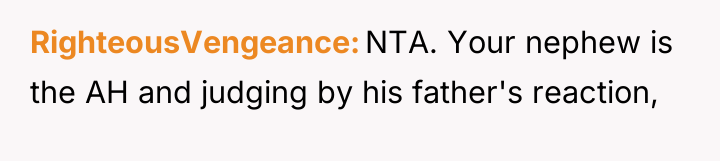 RighteousVengeance NTA. Your nephew is the AH and judging by...