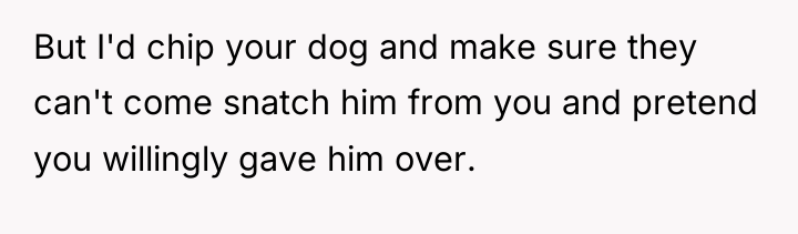 But I'd chip your dog and make sure they can't...