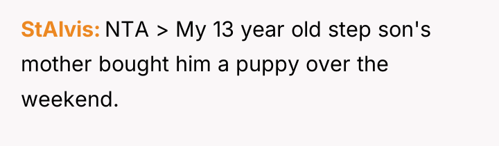 StAlvis NTA > My 13 year old step son's mother...