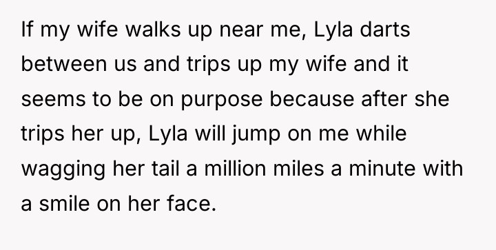 If my wife walks up near me, Lyla darts between...