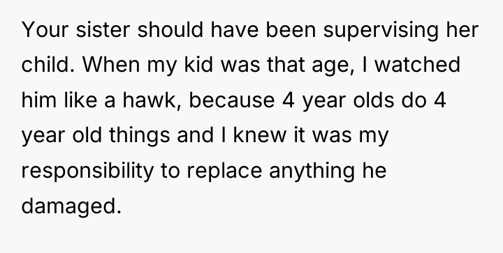 Your sister should have been supervising her child. When my...
