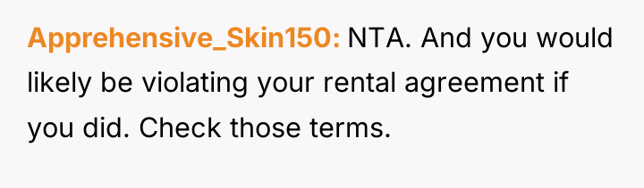 Apprehensive_Skin150 NTA. And you would likely be violating your rental...