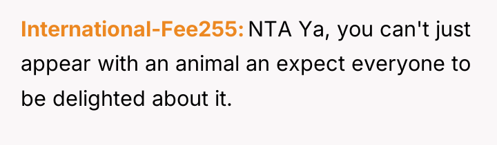 International-Fee255 NTA Ya, you can't just appear with an animal...