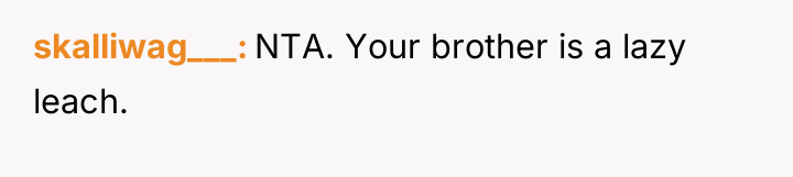 skalliwag___ NTA. Your brother is a lazy leach.