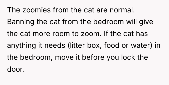 The zoomies from the cat are normal. Banning the cat...