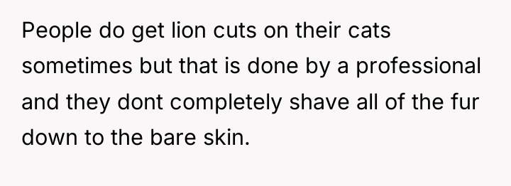 People do get lion cuts on their cats sometimes but...