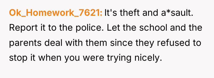 Ok_Homework_7621 It's theft and a*sault. Report it to the police....