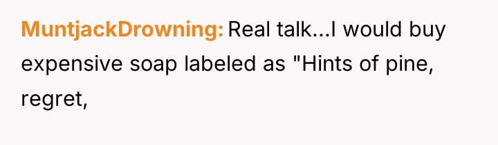 MuntjackDrowning Real talk...I would buy expensive soap labeled as "Hints...