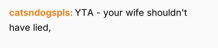 catsndogspls YTA - your wife shouldn't have lied,