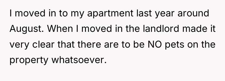 I moved in to my apartment last year around August....